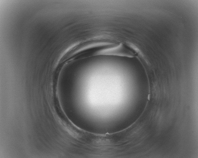 X0000082170535200701270002