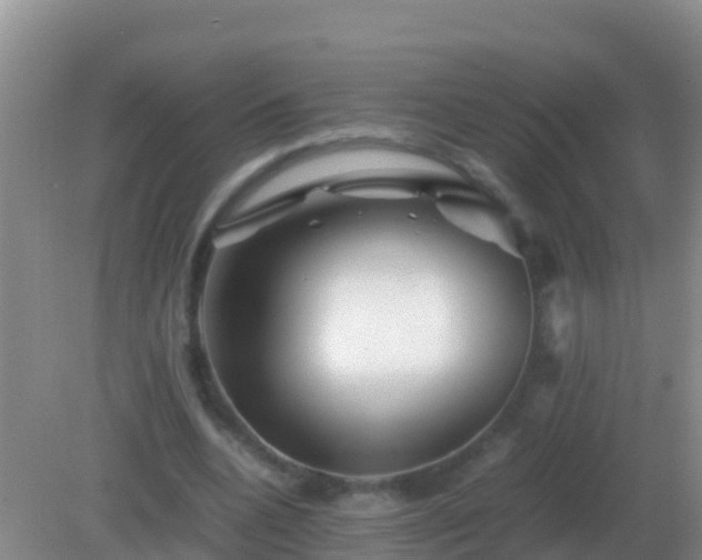 X0000082170536200701270002