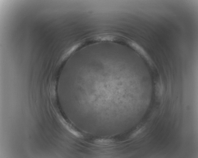 X0000082170537200701270002