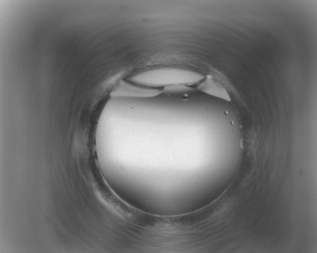 X0000082170538200701270002