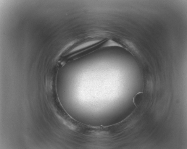 X0000082170539200701270002