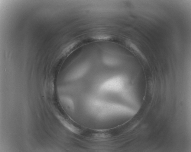 X0000082170541200701270002