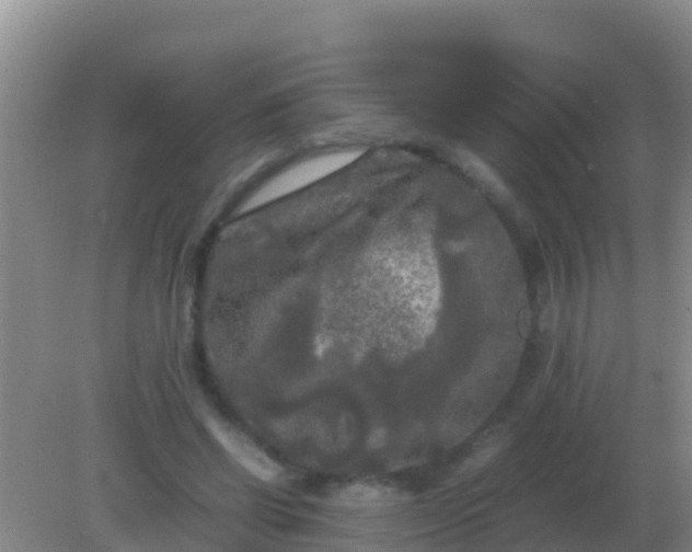 X0000082170542200701270002