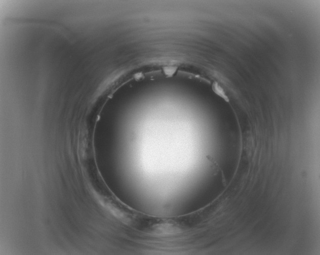 X0000082170544200701270002