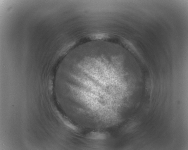 X0000082170545200701270003