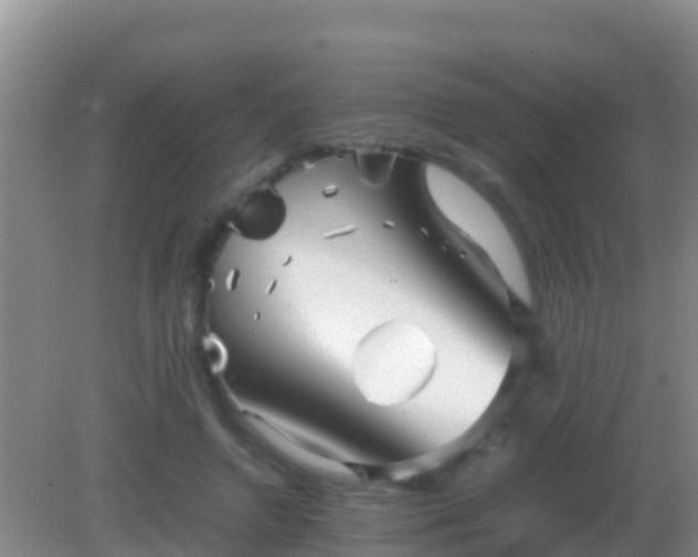 X0000082170546200701270003