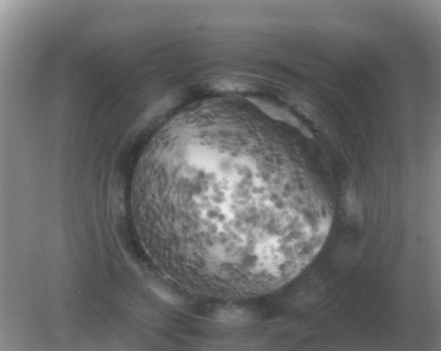 X0000082170547200701270003