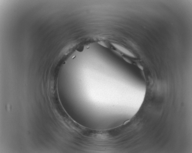 X0000082170548200701270003