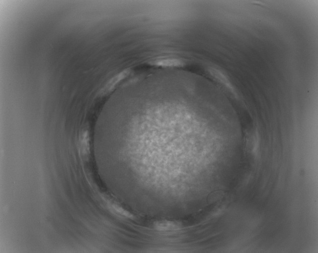 X0000082170549200701270003