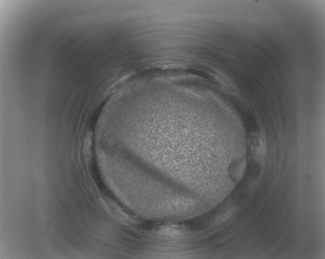 X0000082170550200701270003