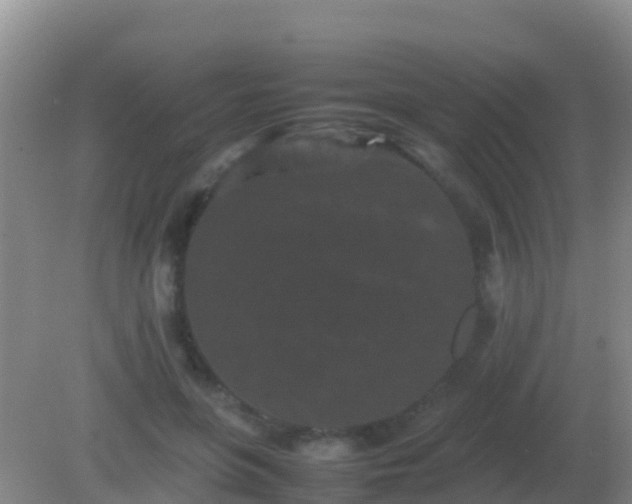 X0000082170551200701270003