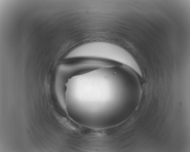 X0000082170552200701270003