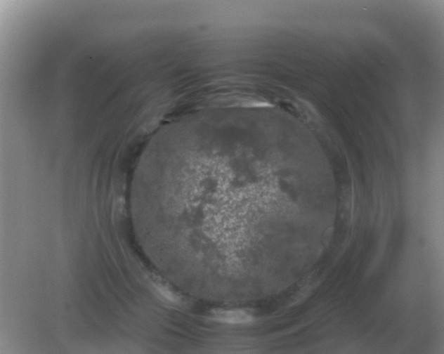 X0000082170553200701270003