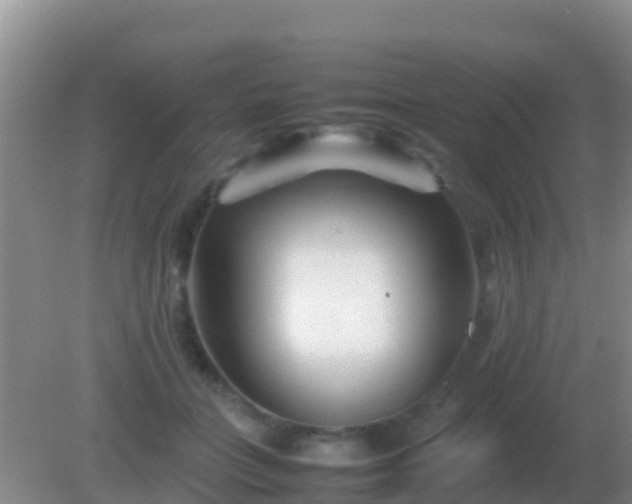 X0000082170555200701270003