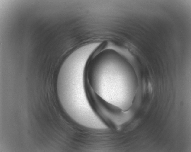 X0000082170556200701270003