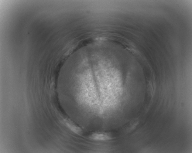 X0000082170557200701270003