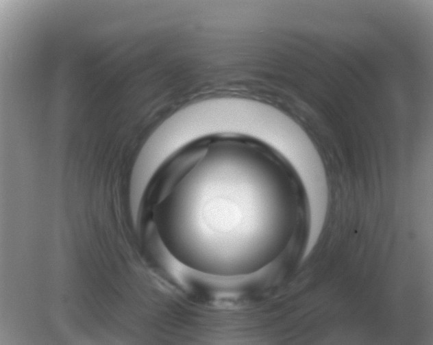 X0000082170558200701270003