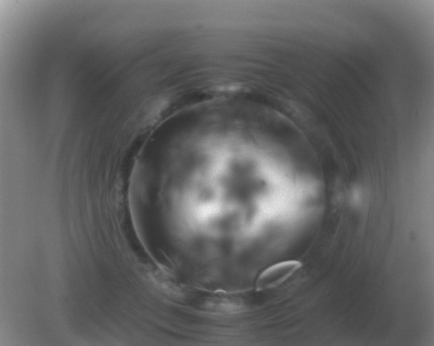 X0000082170559200701270003