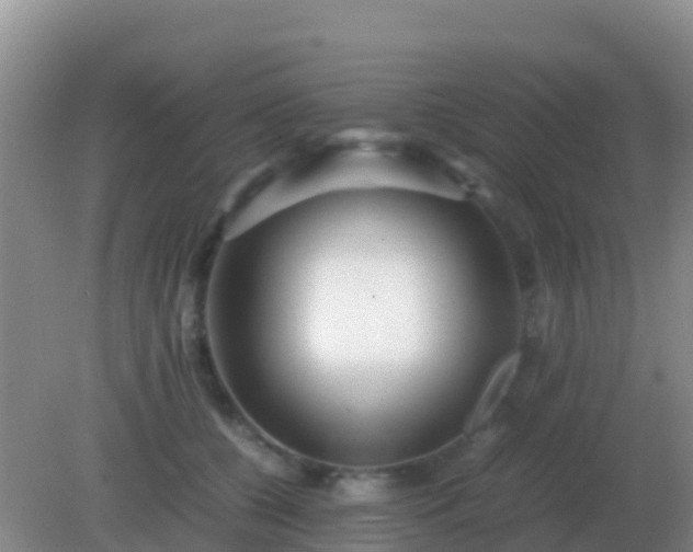 X0000082170560200701270003