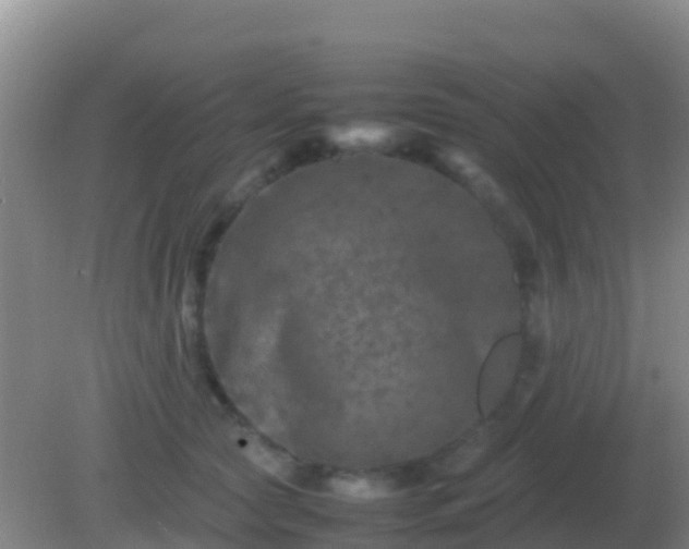 X0000082170561200701270003