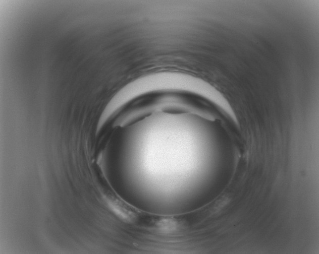 X0000082170562200701270003