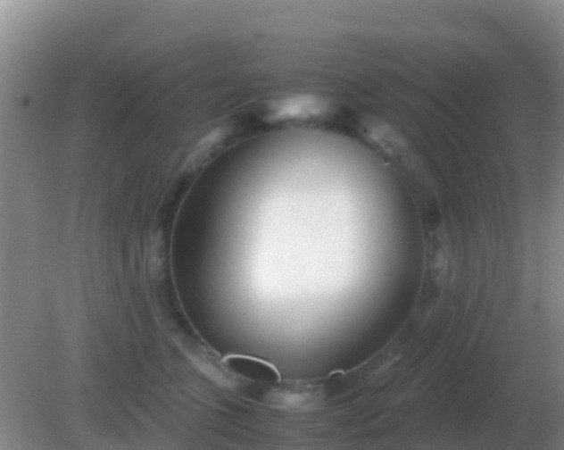 X0000082170563200701270003