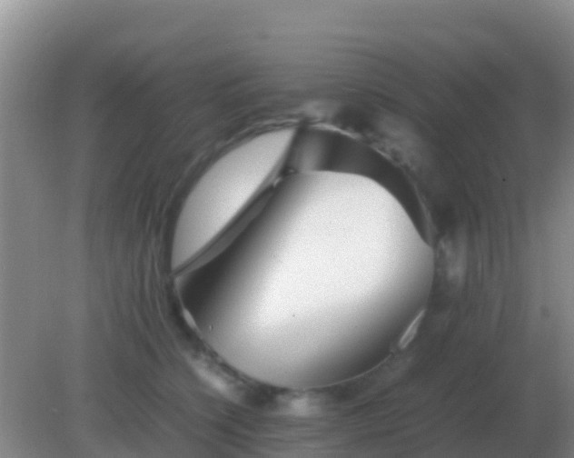 X0000082170564200701270003