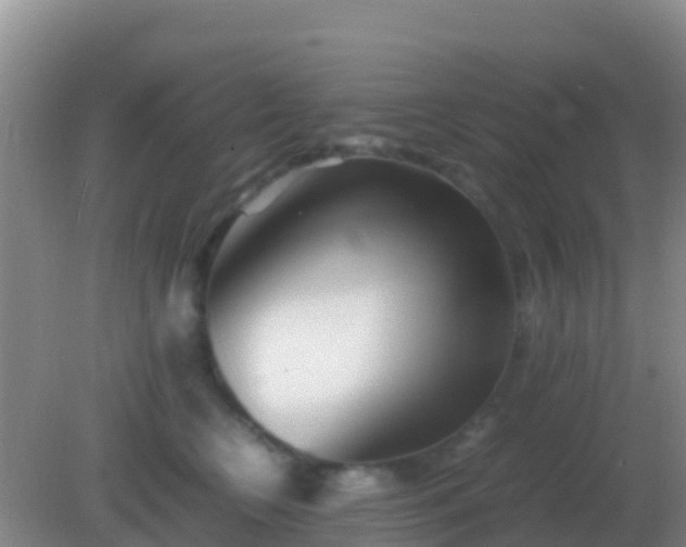 X0000082170566200701270003