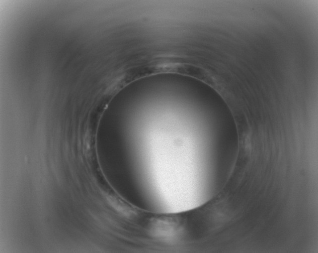 X0000082170567200701270003