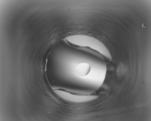 X0000082170568200701270003