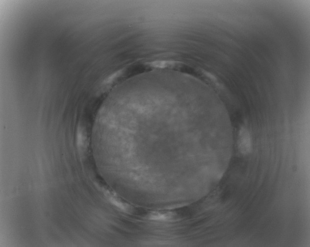 X0000082170569200701270003