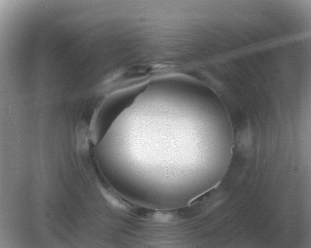 X0000082170570200701270003