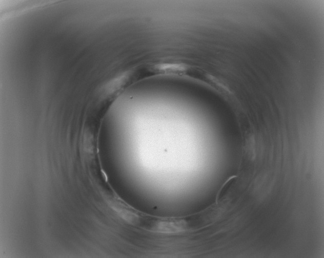 X0000082170571200701270003