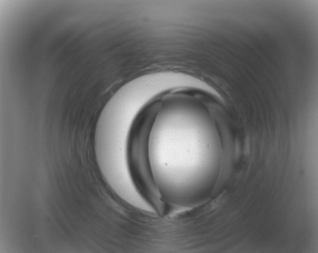 X0000082170572200701270003