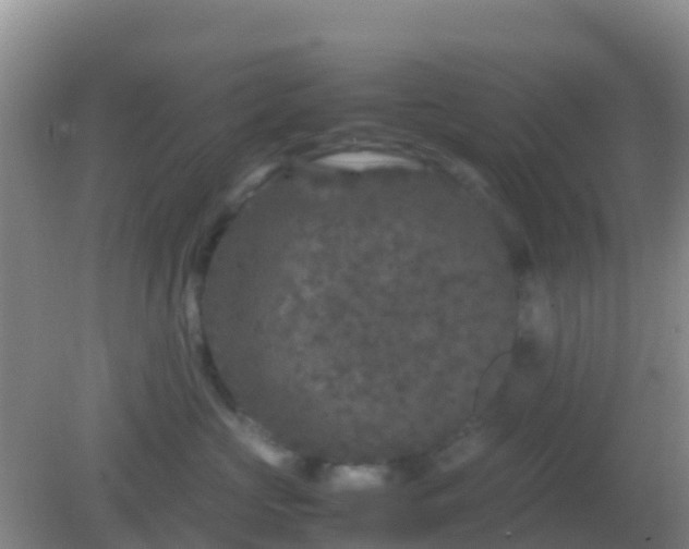 X0000082170573200701270003