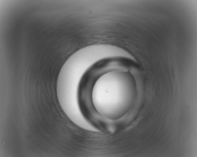 X0000082170576200701270003