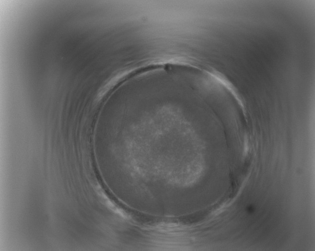 X0000082170577200701270002