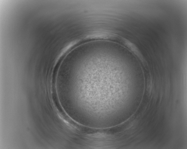 X0000082170578200701270002