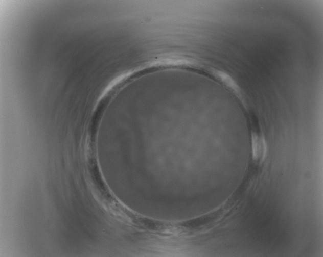 X0000082170579200701270002