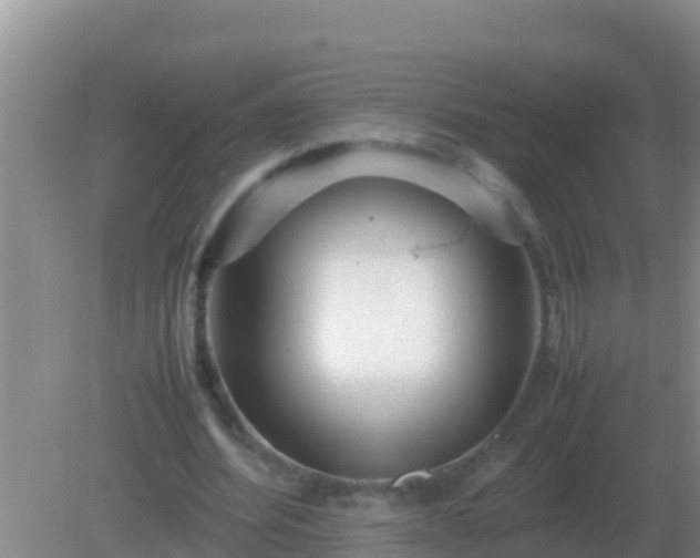 X0000082170580200701270002