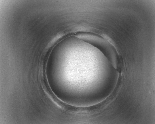 X0000082170581200701270002