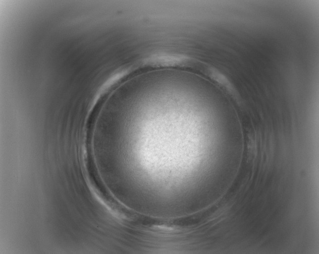 X0000082170582200701270002