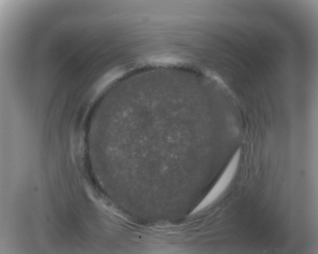 X0000082170583200701270002