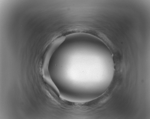 X0000082170585200701270002