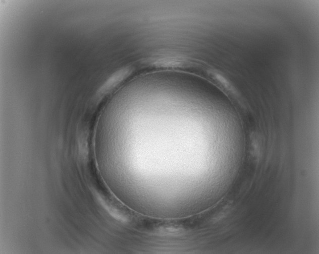 X0000082170586200701270002