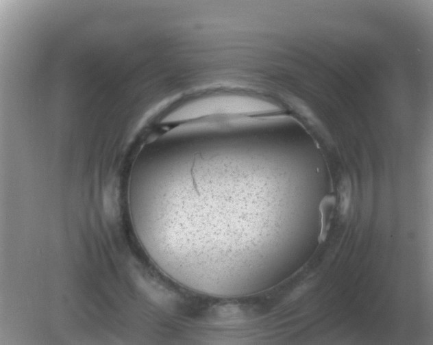 X0000082170588200701270002