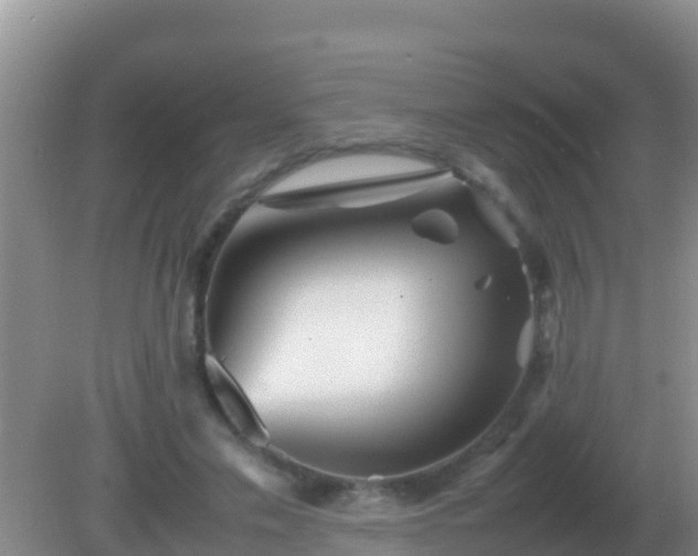 X0000082170589200701270002