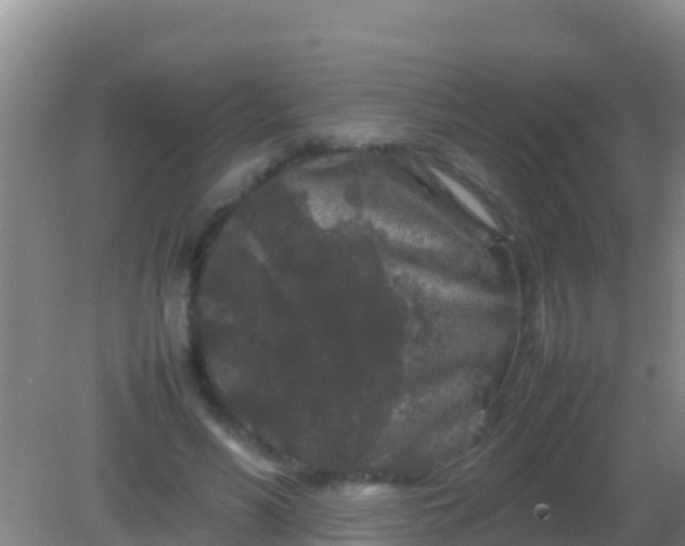 X0000082170590200701270002