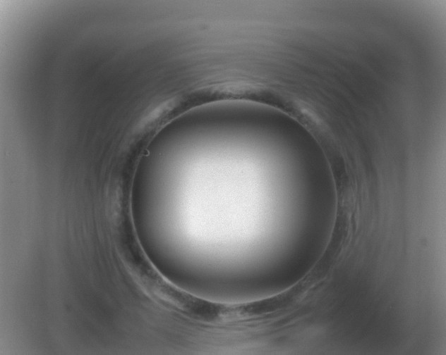 X0000082170591200701270002