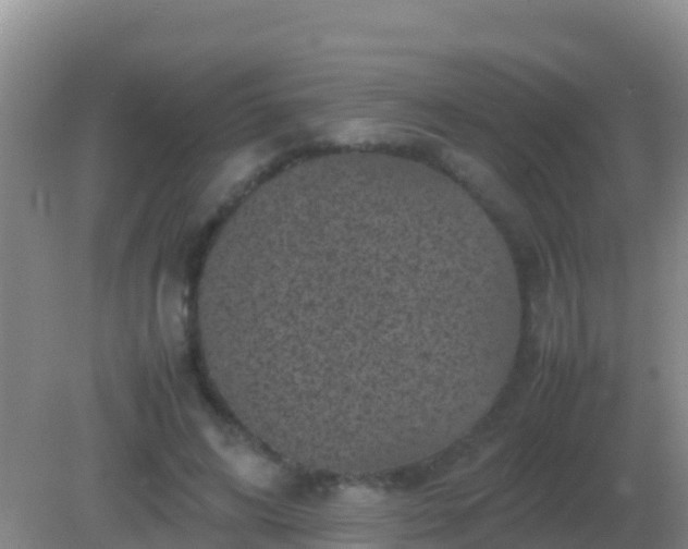 X0000082170592200701270002